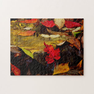 Quebra-cabeça EUA, Pensilvânia, Pocono Mountains 1