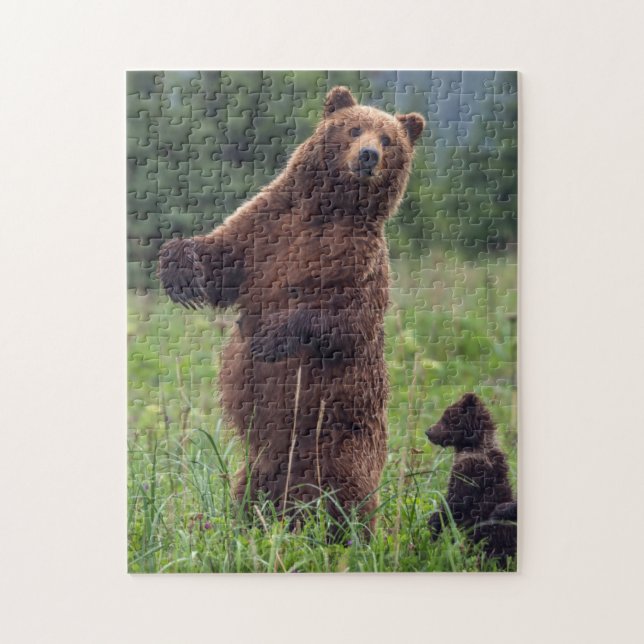 Quebra-cabeça EUA, sudeste do Alasca, Urso Pardo e filhote (Vertical)