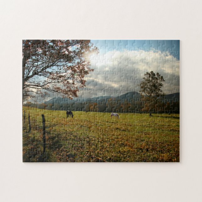 Quebra-cabeça EUA, Tennessee. Cavalos no Vale de Cades Cove (Horizontal)
