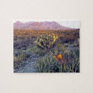 Quebra-cabeça EUA, Texas, Big Bend NP. Um crepúsculo arenoso ros