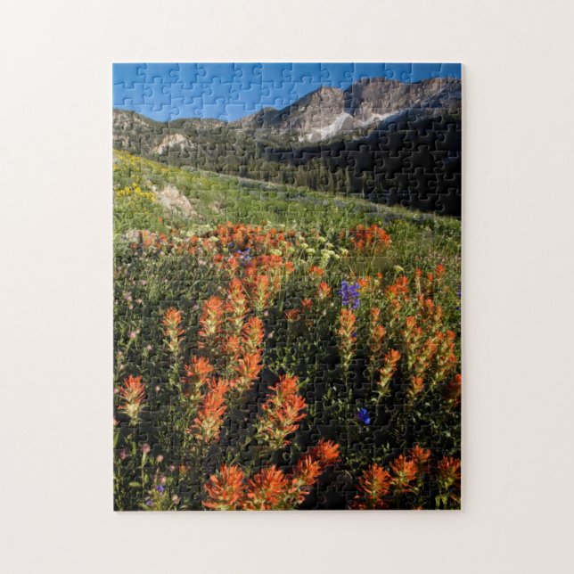 Quebra-cabeça EUA, Utah, Floresta Nacional Uinta-Wasatch-Cache (Vertical)