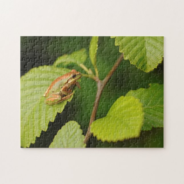 Quebra-cabeça EUA, Washington, Seattle, Discovery Park (Horizontal)