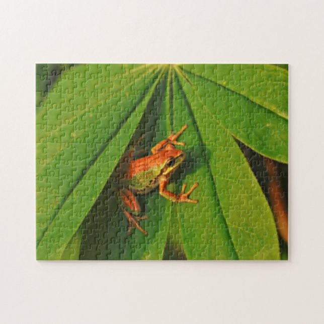 Quebra-cabeça EUA, Washington, Seattle, Discovery Park 2 (Horizontal)