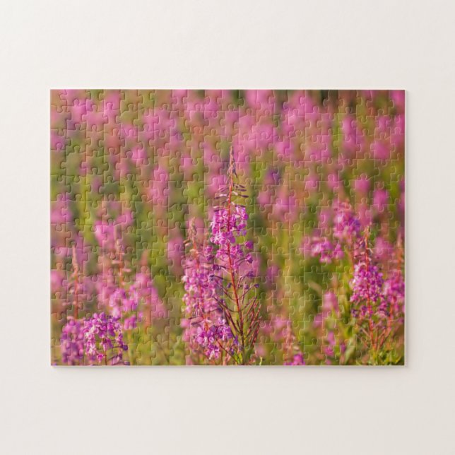 Quebra-cabeça EUA, Washington, Seattle, Discovery Park 3 (Horizontal)