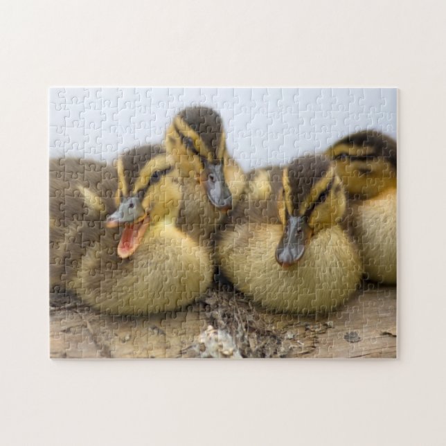 Quebra-cabeça EUA, Washington, Seattle, Lago Washington (Horizontal)