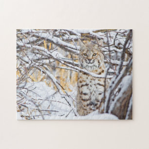 Quebra-cabeça EUA, Wyoming, Lince-vermelho