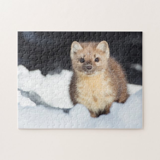 Quebra-cabeça EUA, Wyoming, Parque Nacional Yellowstone (Horizontal)