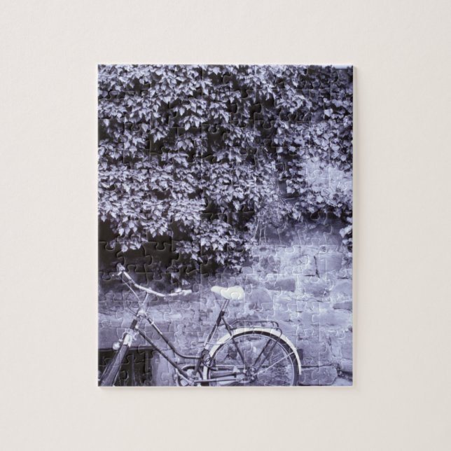 Quebra-cabeça Europa, Alemanha, Baden, Vuremberg, Heidelberg. 2 (Vertical)