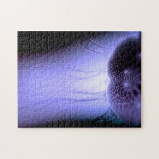 Quebra-cabeça Europa de observação para confundir #1