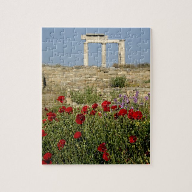 Quebra-cabeça Europa, Grécia, Cíclades, Delos. Ruínas de coluna. (Vertical)