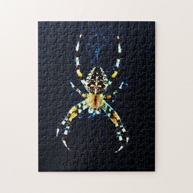 Quebra-cabeça European Garden Spider 11x14 252pc jpcn (Vertical)