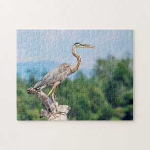 Quebra-cabeça Excelente Azul Heron