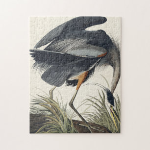 Quebra-cabeça Excelente Blue Heron de Birds da América