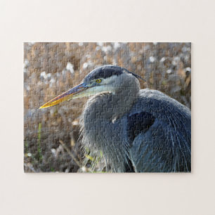 Quebra-cabeça Excelente Blue Heron Feche!Quebra-cabeça