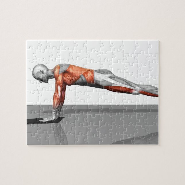 Quebra-cabeça Exercício de mosca das toalhas 3 (Horizontal)