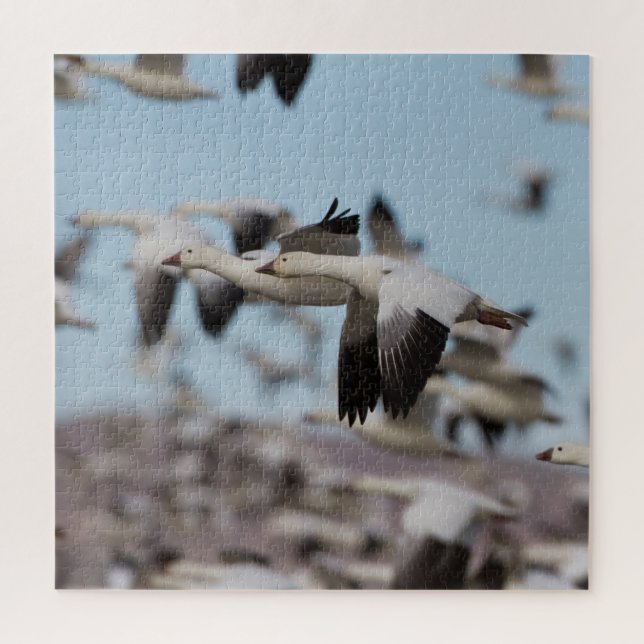 Quebra-cabeça Explosão no céu Socorro (Vertical)