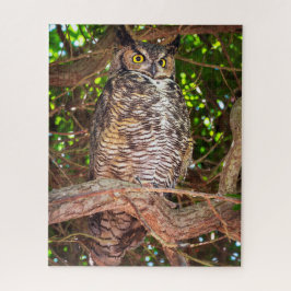 Quebra-cabeça Eyes of the Night: Great Horned Owl