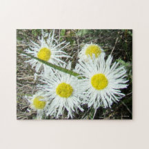 F10 Flores Brancas Flores Tufadas