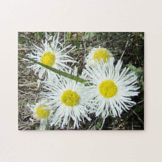 Quebra-cabeça F10 Flores Brancas Flores Tufadas (Horizontal)