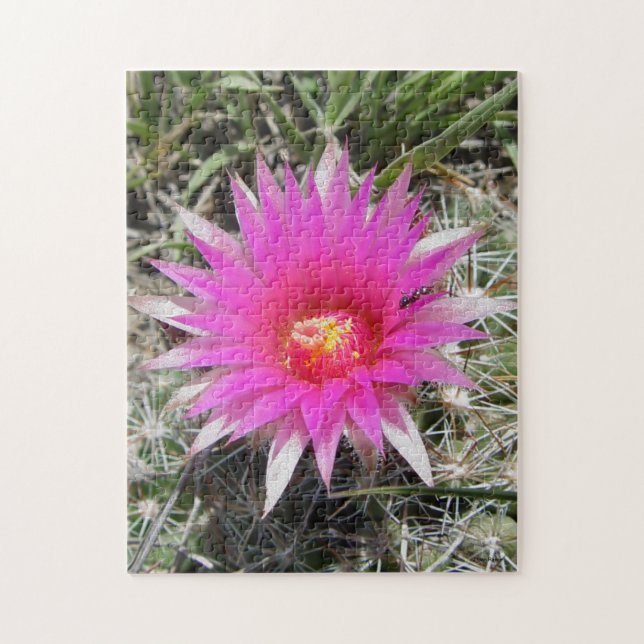 Quebra-cabeça F12 Flor de cactus "Escobaria vivipara" (Vertical)