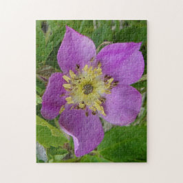 Quebra-cabeça F13 Prickley Rosa Alberta Wild Rosa