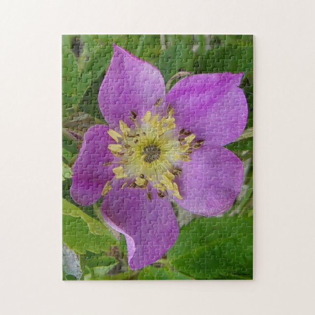 Quebra-cabeça F13 Prickley Rosa Alberta Wild Rosa (Vertical)