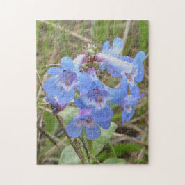 Quebra-cabeça F3 Flores Silvestres Azules Penstemon Azul Delgado