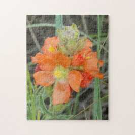 Quebra-cabeça F40 Flores Silvestres Laranja Malva Escarlate
