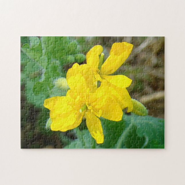 Quebra-cabeça F44 Flores silvestres amarelas Mostarda selvagem (Horizontal)