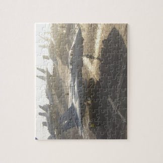 Quebra-cabeça F-14 Tomcat