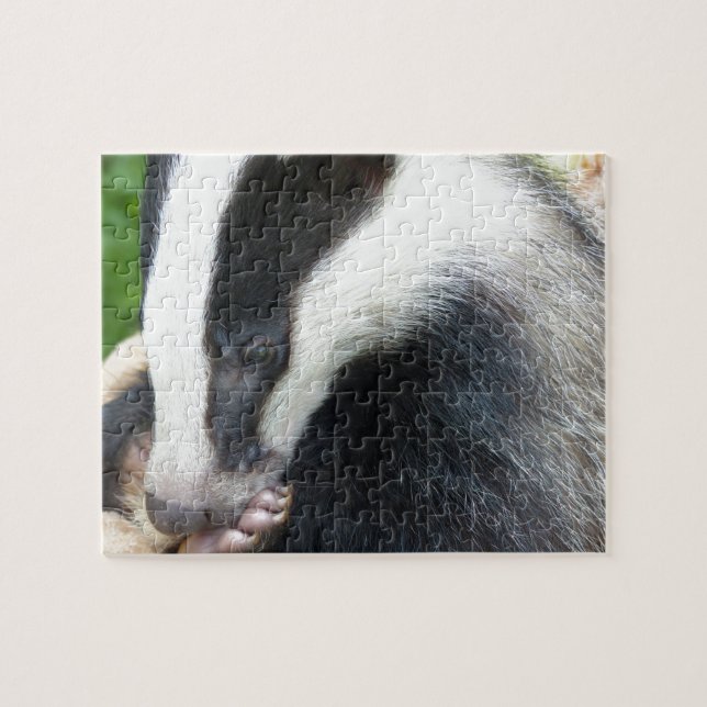 Quebra-cabeça Face do Badger Europeu (Horizontal)