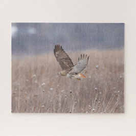 Quebra-cabeça Falcão de cauda vermelha em voo