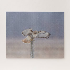 Quebra-cabeça Falcão de cauda vermelha em voo