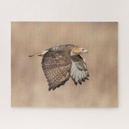 Quebra-cabeça Falcão de cauda vermelha em voo