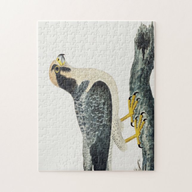 Quebra-cabeça Falcão Lanner | Hawk | Cartão de Ilustração de Pás (Vertical)