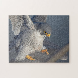 Quebra-cabeça Falcão Peregrine ao longo do rio Hudson