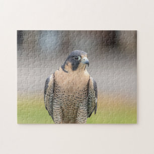 Quebra-cabeça Falcão Peregrine ao longo do rio Hudson