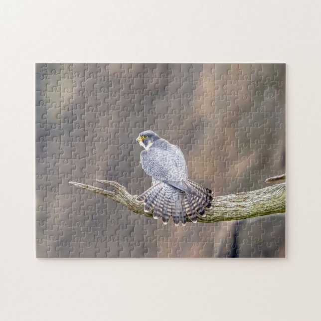 Quebra-cabeça Falcão Peregrino no Parque Interestadual de Palisa (Horizontal)