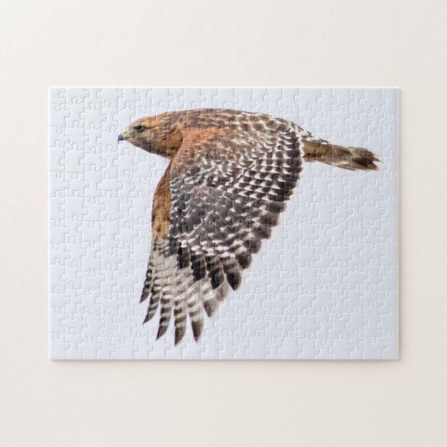 Quebra-cabeça Falcão Vermelho em Voo (Horizontal)