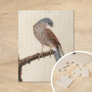 Quebra-cabeça Falcon Hen Kestrel   William Lewin
