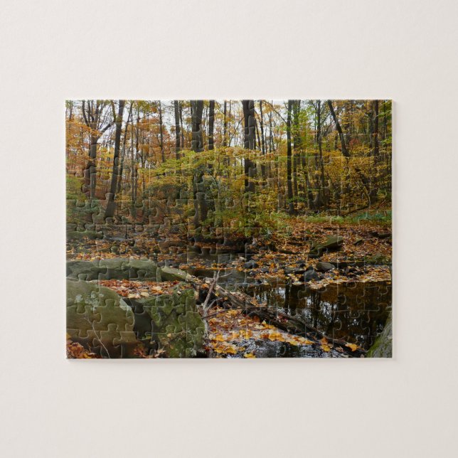 Quebra-cabeça Fall Creek com Reflexo no Laurel Hill Park (Horizontal)
