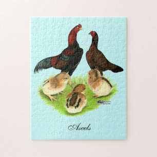 Quebra-cabeça Família Aseel Black Red Chicken
