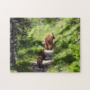 Quebra-cabeça Família Brown Bear