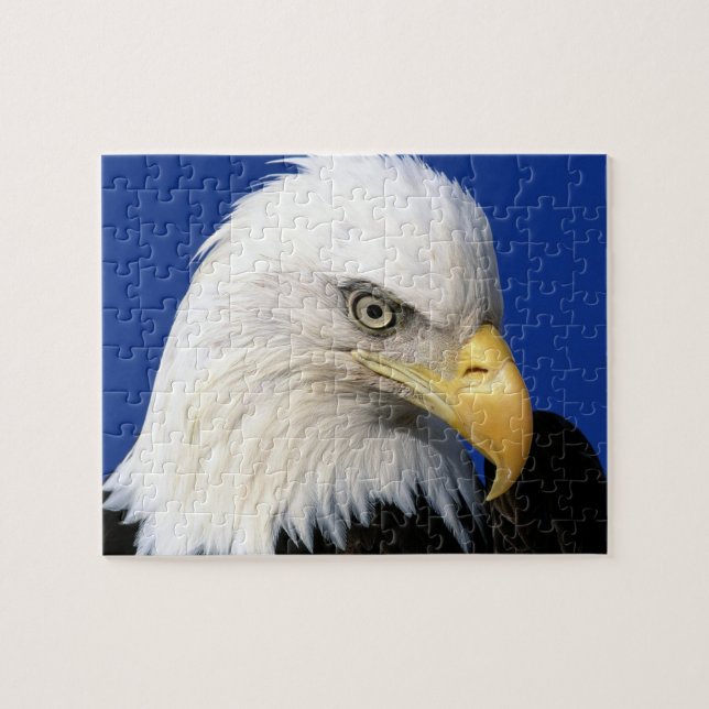 Quebra-cabeça Família Céu Azul Bald Eagle - Diversão Silenciosa (Horizontal)