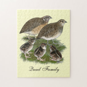 Quebra-cabeça Família Coturnix Quail