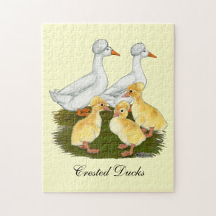 Quebra-cabeça Família Crested Duck