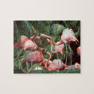 Quebra-cabeça Família de Flamingos Rosa Tropical Quieta Divers