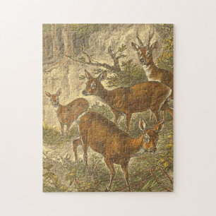 Quebra-cabeça Família de Roe - Deers em Floresta
