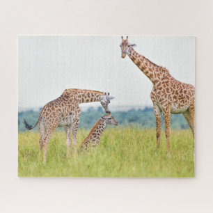 Quebra-cabeça Família do girafa das imagens de Getty