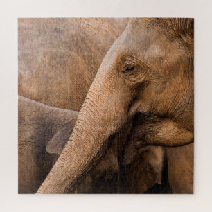Quebra-cabeça Família Elefante: Vida Selvagem Majestosa